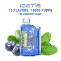 IGET FLARE B10000 – Blueberry Mint - Vape Shop Kochi VapeshopKochi